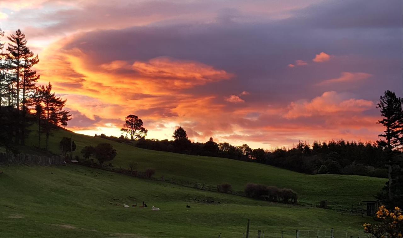 Aorangi Highland Country Retreat Villa Rotorua Dış mekan fotoğraf